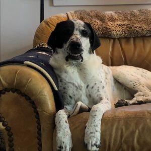 Meet your Posher, Jonathan